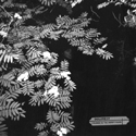 Illustration for article titled Best Albums Of 2004